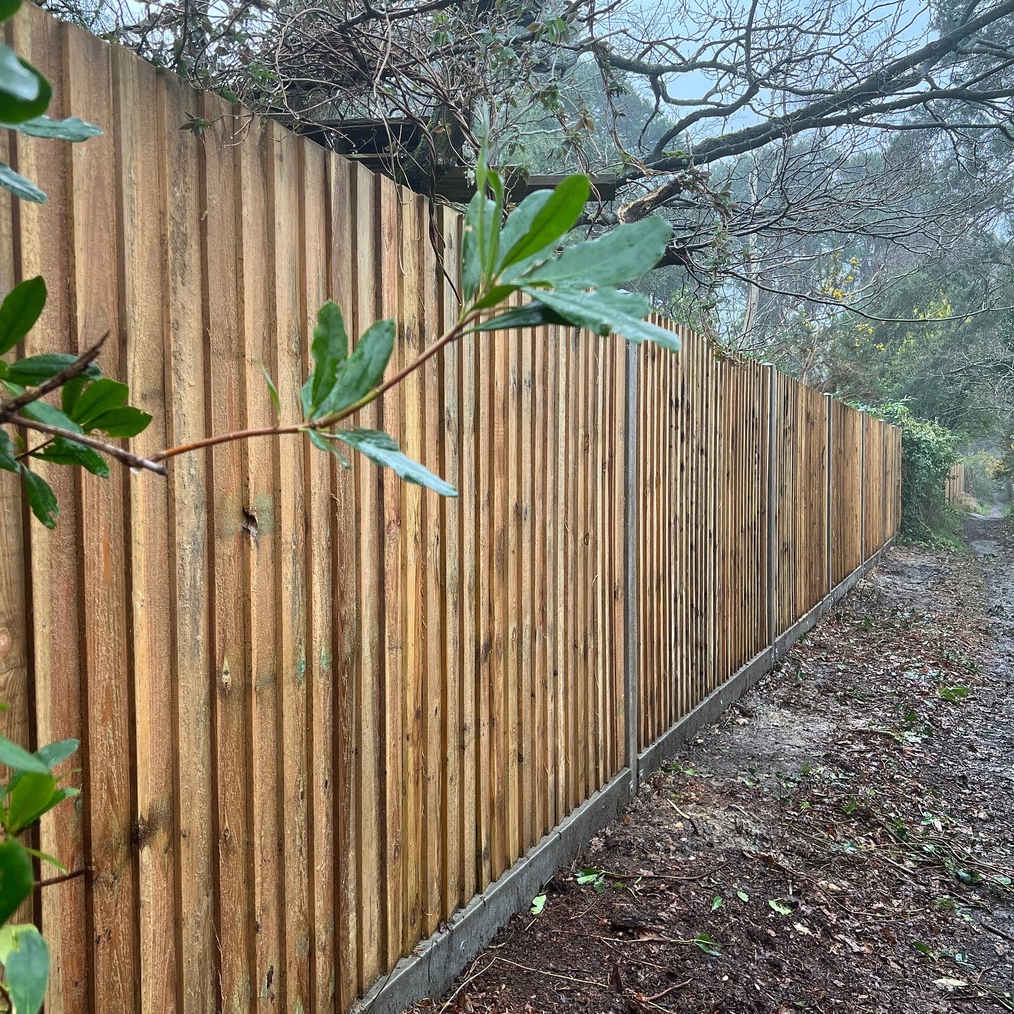 run of closeboard fencing