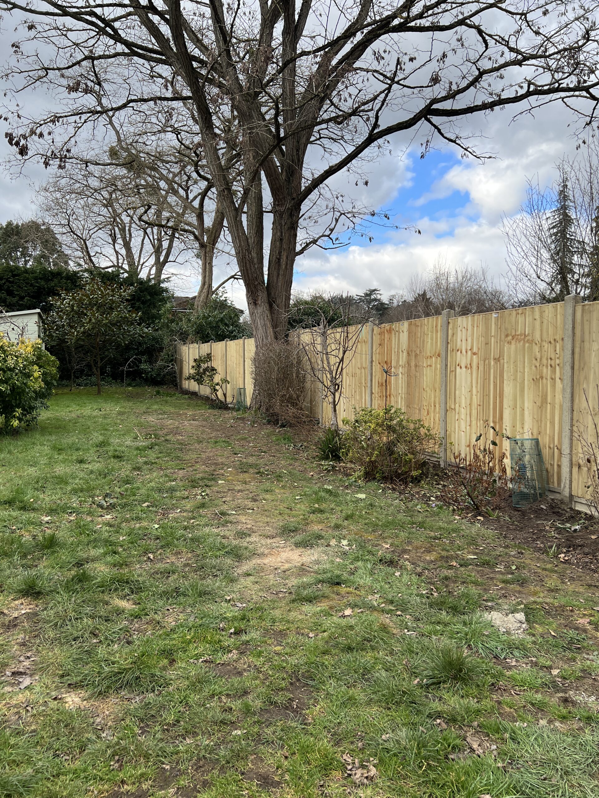 a run of closeboard panels
