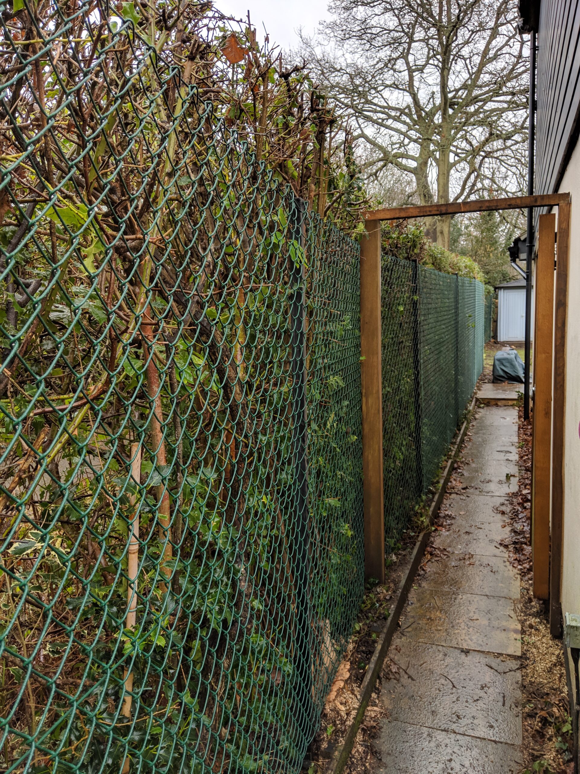 Chainlink fencing in Ascot