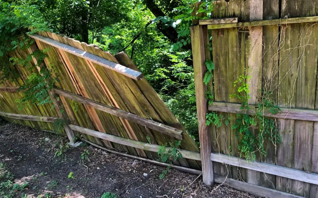 Fence Repair After Winter in Sandhurst: What Homeowners Should Check Now